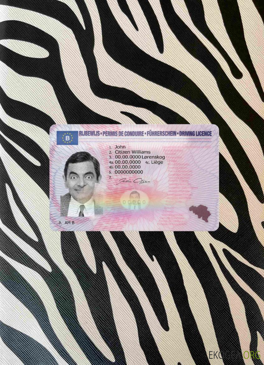 Belgique DL version 2 photolook AVANT